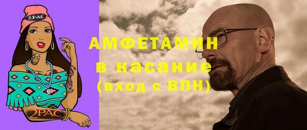 индика Волосово