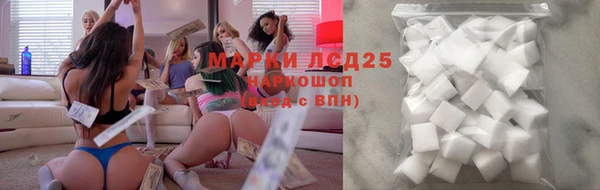 мдпв Верея