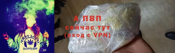 мдпв Верея