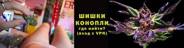 мдпв Верея