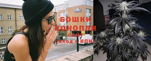 мдпв Верея
