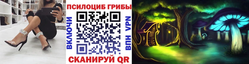 Купить  Верхняя Салда  Галлюциногенные грибы Psilocybe 